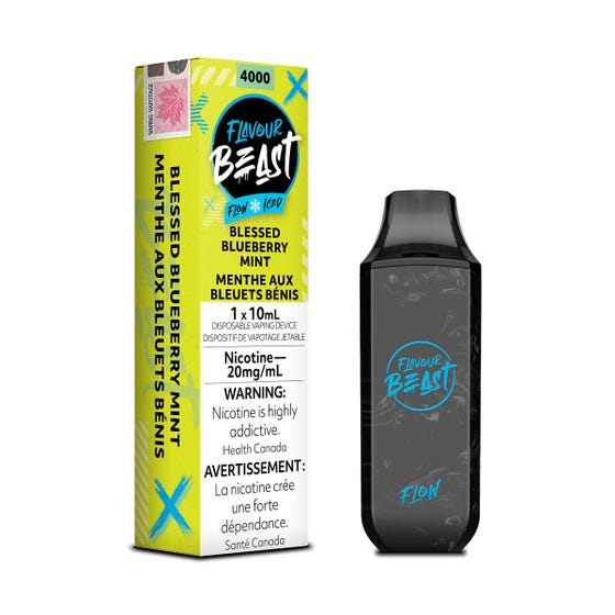 Blessed Blueberry Mint Iced - Flavour Beast Flow Disposable 5000 Puffs